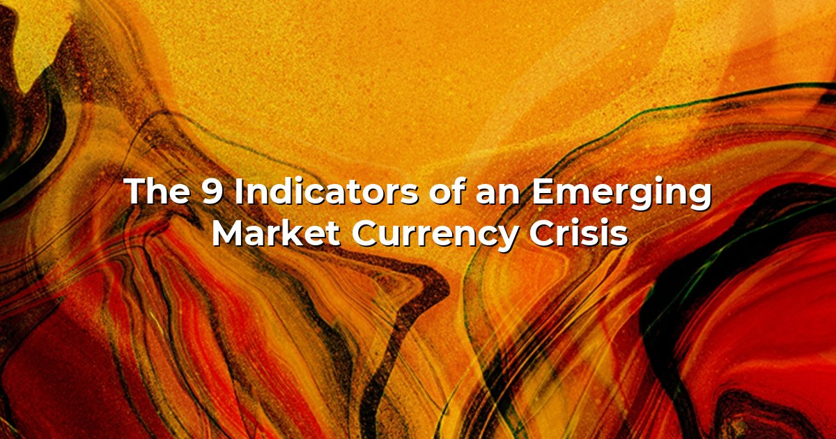 The 9 Indicators of an Emerging Market Currency Crisis cover