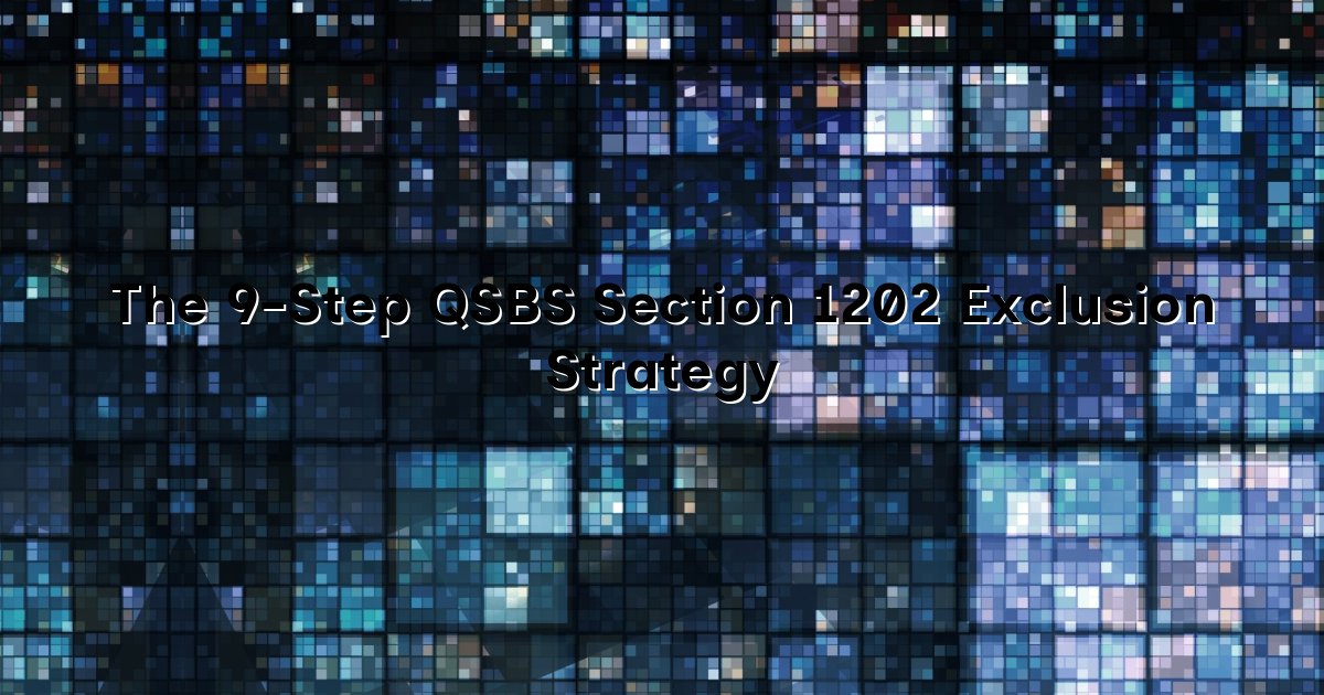 The 9-Step QSBS Section 1202 Exclusion Strategy cover